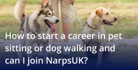 How to start a career in pet sitting or dog walking and can I join NarpsUK