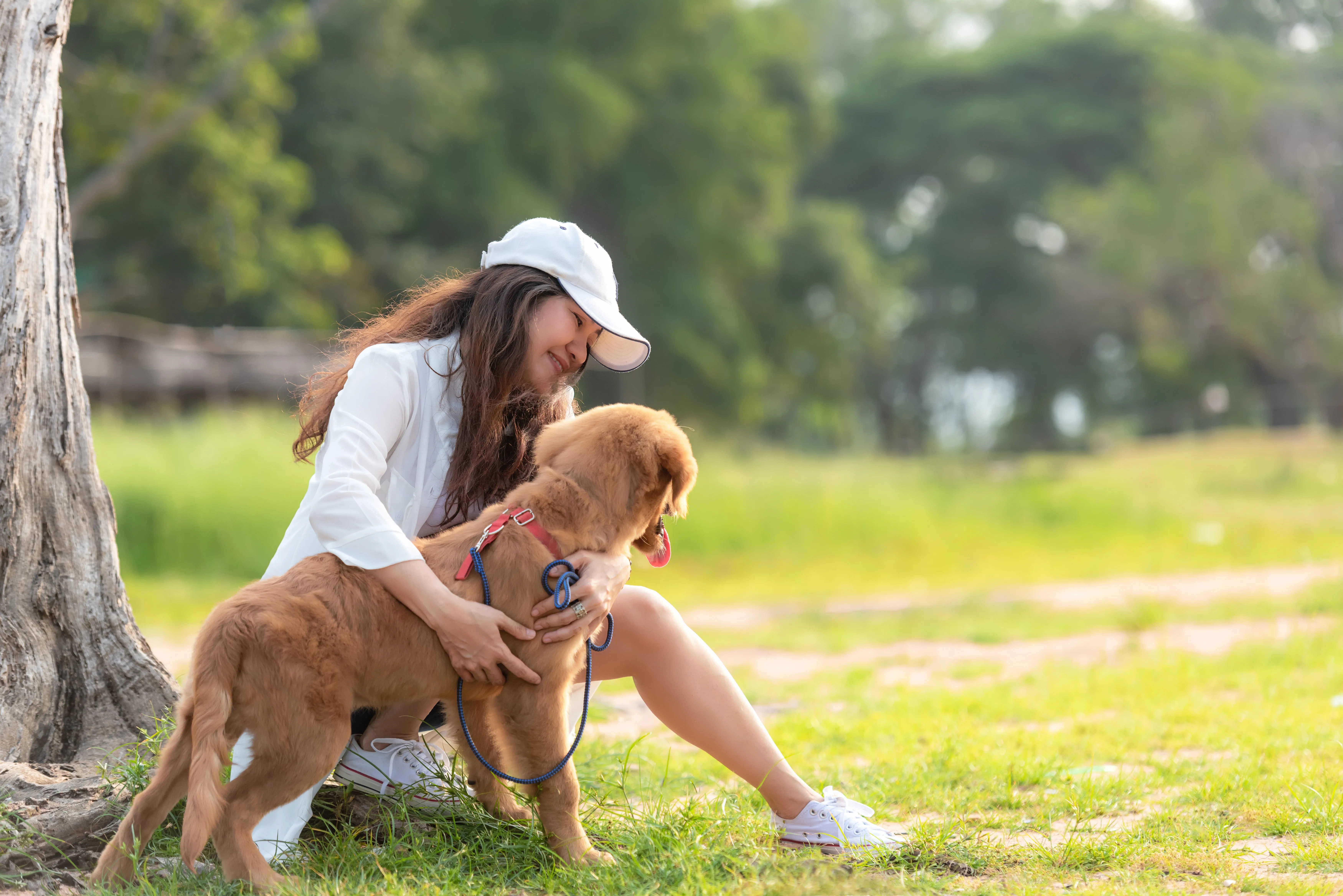 Dog walker in park with dog