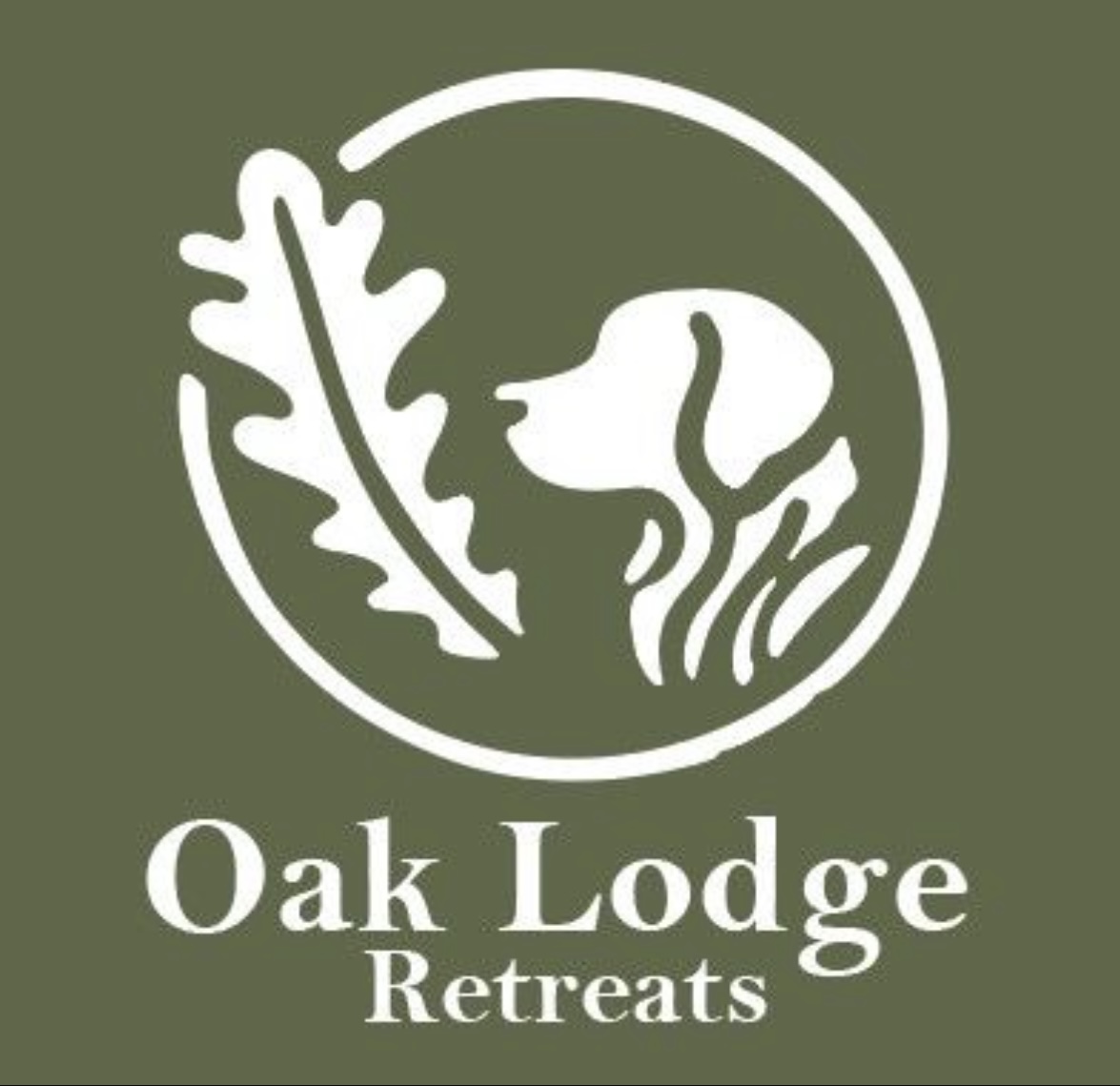 Oak lodge Retreats and dog walking service 